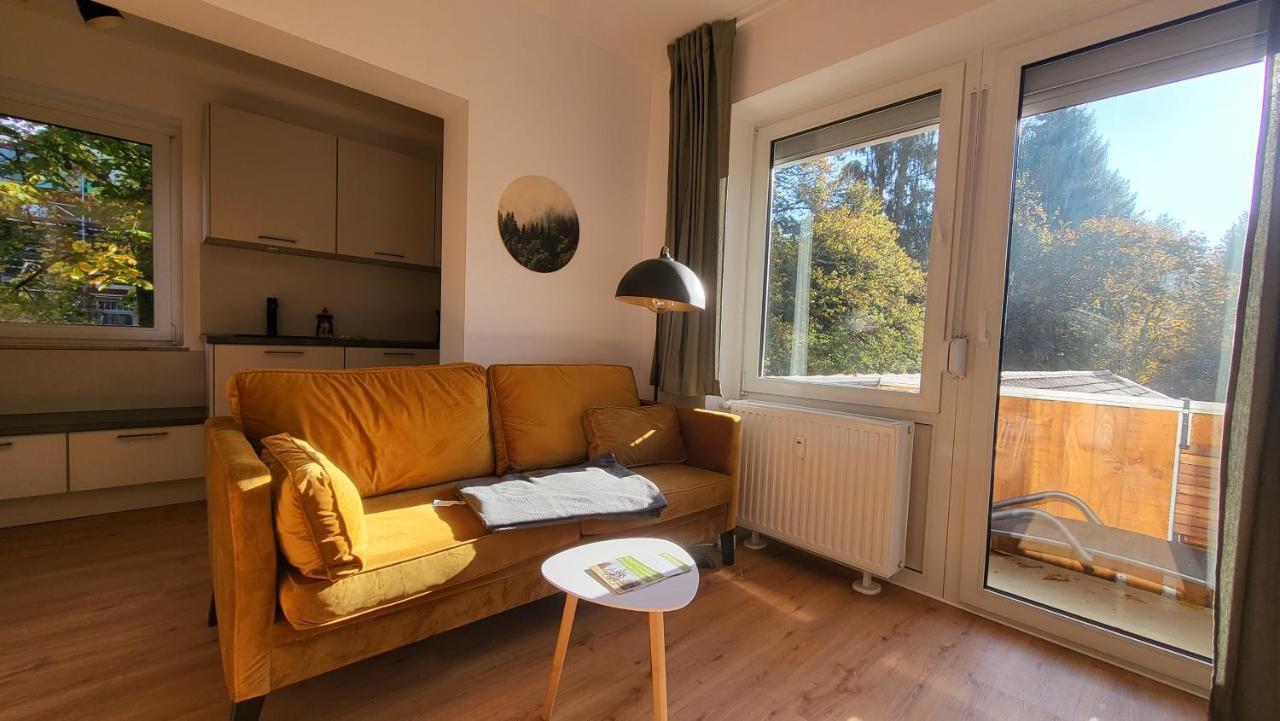 Ferienwohnung Berglodge 11 Hahnenklee Bockswiese Goslar Exterior foto